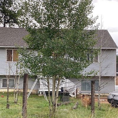 94 Green St, Bailey, CO 80421