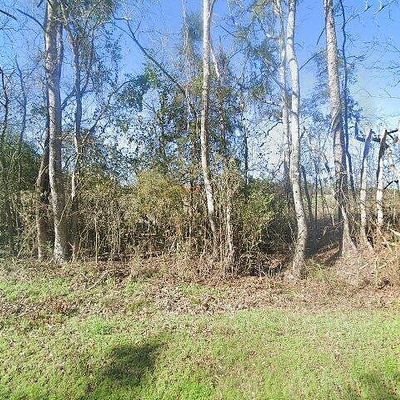 946 Caney Creek Rd, Conehatta, MS 39057