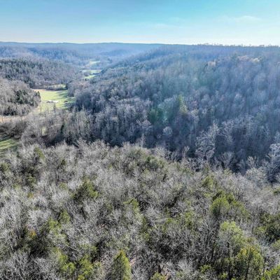 Davis Hollow Rd, Waynesboro, TN 38485