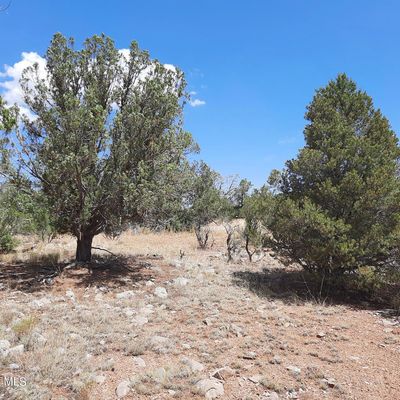 Lot 1177 Shadow Mountain Pkwy, Seligman, AZ 86337