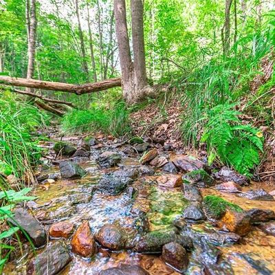 Lot 22 Meadow Brook Trail, Morganton, GA 30560