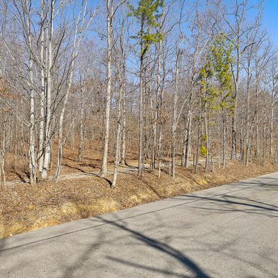 Lot 237 Roaring Creek Rd, Dunlap, TN 37327