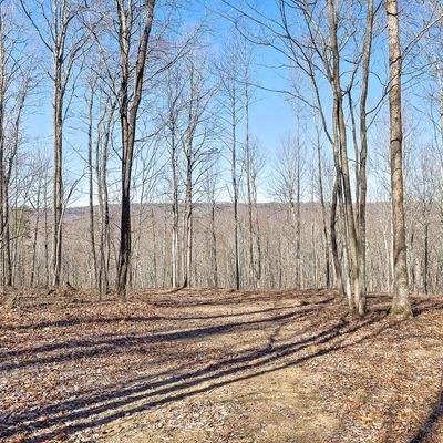 Lot 291 Roaring Creek Rd, Dunlap, TN 37327