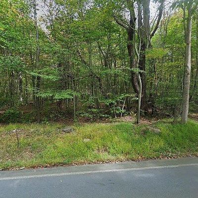 Lot 71 Locust Ridge Road, Pocono Lake, PA 18347