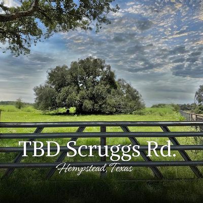 Tbd 0 Scruggs Road, Hempstead, TX 77445