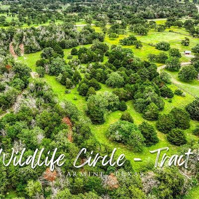 Tract 4 Wildlife Circle, Carmine, TX 78932