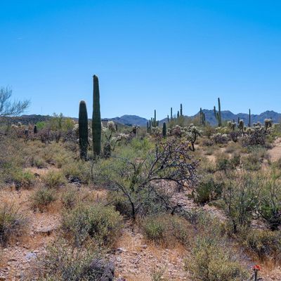 W Ironwood Hill Drive, Tucson, AZ 85745