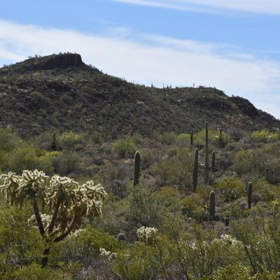 Yuma Mine Road, Tucson, AZ 85743