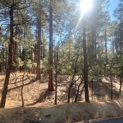 1149 E Friendly Pines Rd, Prescott, AZ 86303