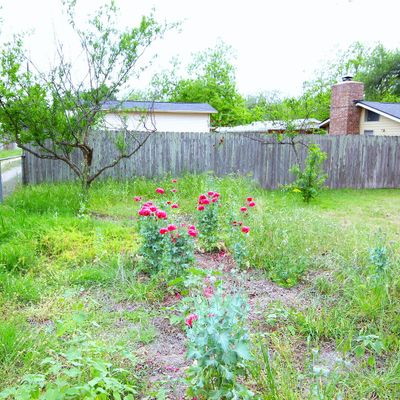 809 Edison, Fredericksburg, TX 78624