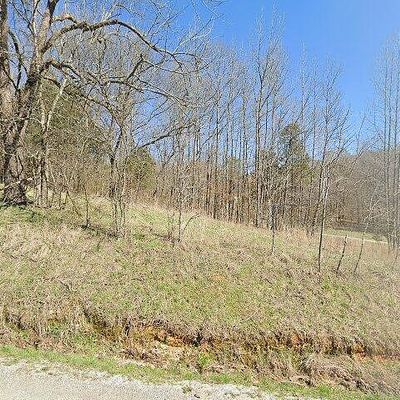 8427 Last Butler Rd, Iron City, TN 38463