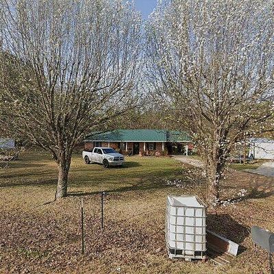 923 Evergreen Rd, Louisville, MS 39339