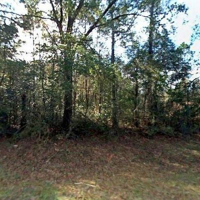 365 County Rd #292, Mayo, FL 32066