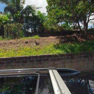 995 Makani Rd, Makawao, HI 96768