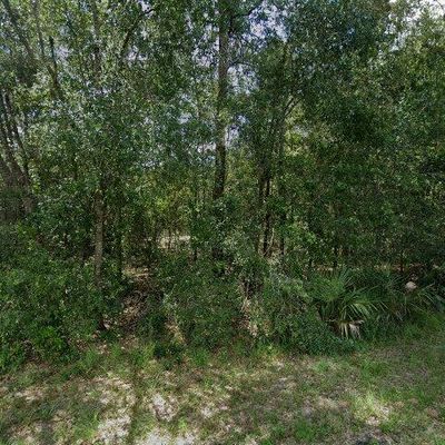 549 Silver Course Radl, Ocala, FL 34472