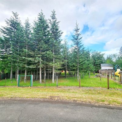 105 Lucke Pl, Elma, WA 98541