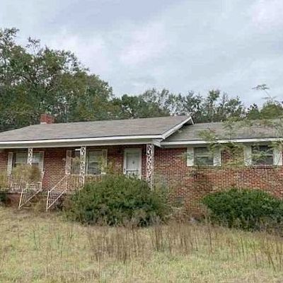 30091 County Line Loop, Opp, AL 36467