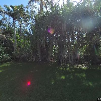 430 Campana Ave, Coral Gables, FL 33156