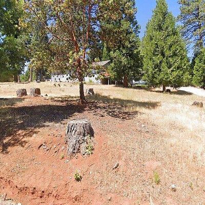 16625 Alpine Ln, Pioneer, CA 95666