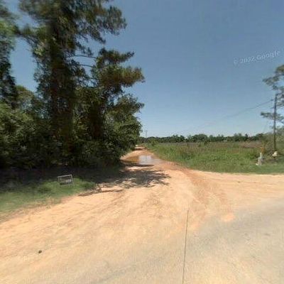 18700 Prine Rd, Citronelle, AL 36522