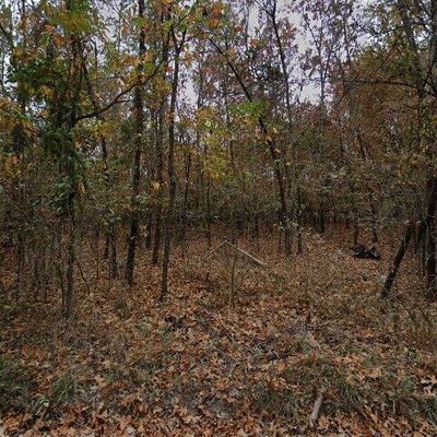 20725 Horseshoe Bend Rd, Lead Hill, AR 72644