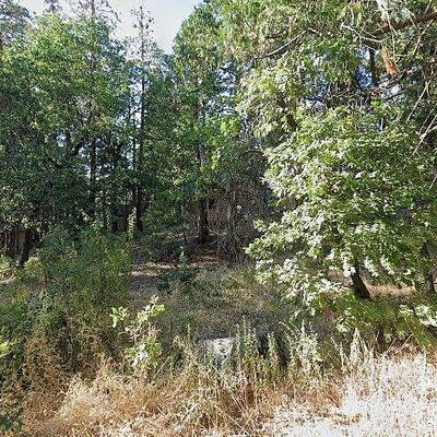 51823 Camp Sierra, Shaver Lake, CA 93664