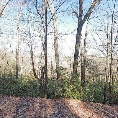 550 Bear Gap Rd, Clarkesville, GA 30523