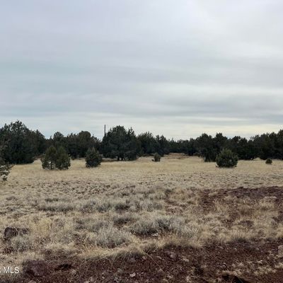 287 S Canyon Road, Williams, AZ 86046