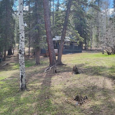 6 County Road 1007, Greer, AZ 85927