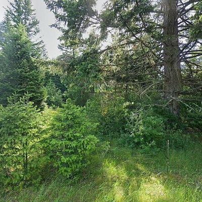 12510 Rainier Acres Rd Se, Rainier, WA 98576