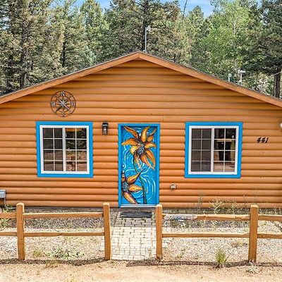 441 Paint Pony Ln, Florissant, CO 80816