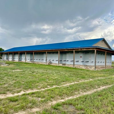 6 Nevada Ct, Moriarty, NM 87035