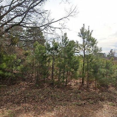 1129 Sulphur Rd, Damascus, AR 72039