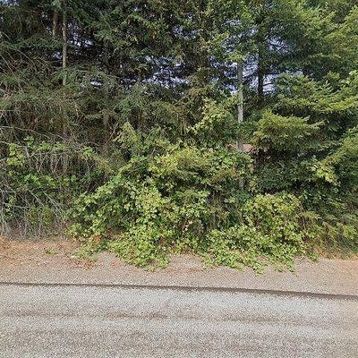 525 Meade Hill Rd, Glenoma, WA 98336