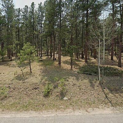 1372 Bluebird Dr, Bailey, CO 80421