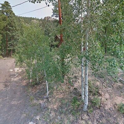 25002 Mosier Cir, Conifer, CO 80433