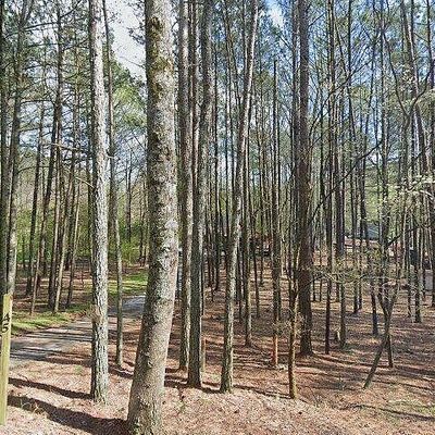 45 Newport Dr, Ellijay, GA 30540