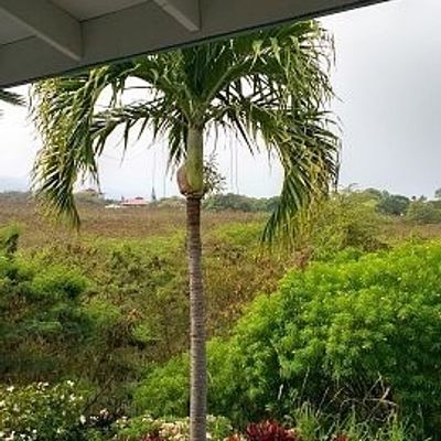 75 6081 Alii Dr # P 202, Kailua Kona, HI 96740