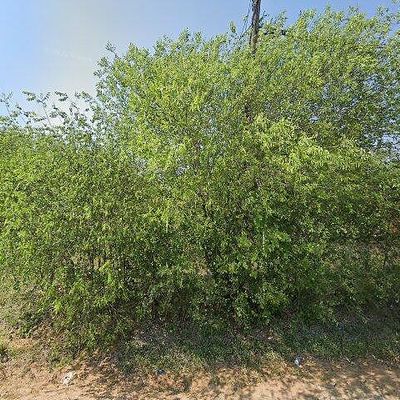 000 Lot 1 Cr 732, Yancey, TX 78886