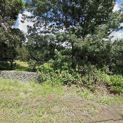 94 6598 Mamalahoa Hwy, Naalehu, HI 96772