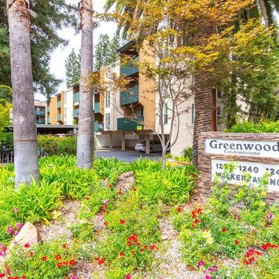 1240 Walker Ave #302, Walnut Creek, CA 94596