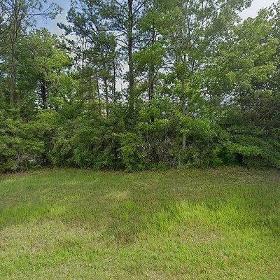 170 Hickory Hill Dr, Burkeville, TX 75932