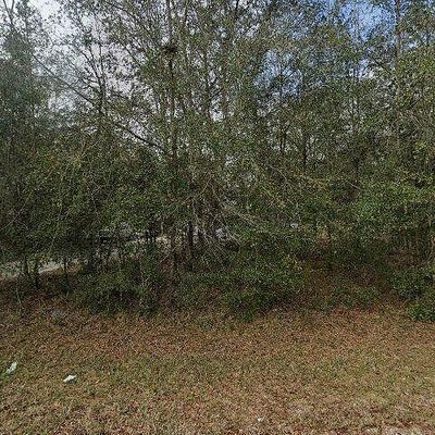 2518 Marigold Ave, Middleburg, FL 32068