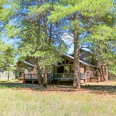 3222 Bear Howard, Flagstaff, AZ 86005