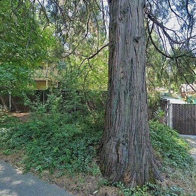 323 Bridge Way, Nevada City, CA 95959