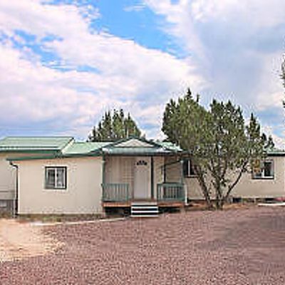 38 Apace County Road 3119, Vernon, AZ 85940