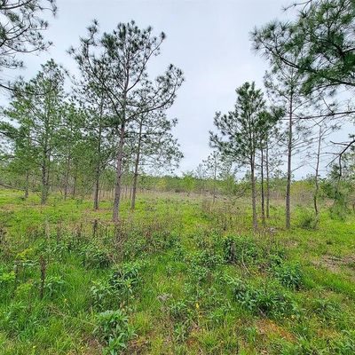 02 County Road 3375, Lovelady, TX 75851