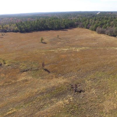 14.16 Acres Tract 2 Tbd Percy Howard Road Road, Huntsville, TX 77340