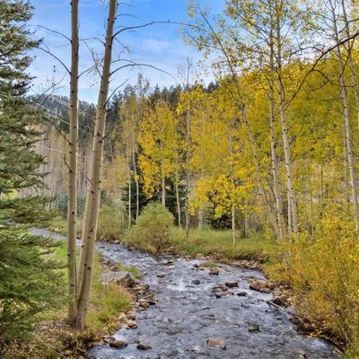 14482 S Elk Creek Rd, Pine, CO 80470