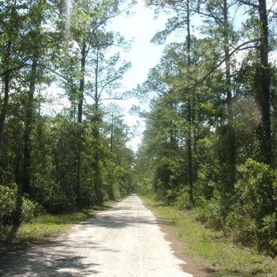 150 Fawn Trl, Palatka, FL 32177